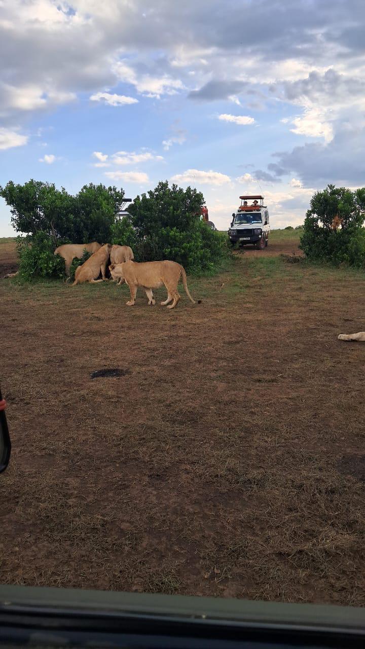 Erleben Sie das beste Safari-Abenteuer in Kenia Taita Hills