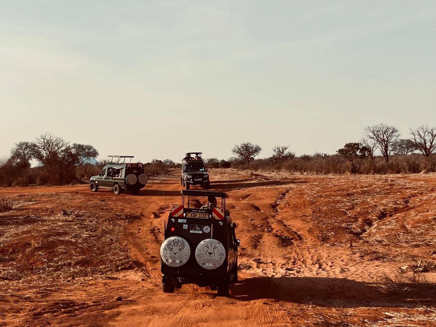 upplev det bästa safariäventyret i kenya tsavo east, Tsavo West, Amboseli, Masai Mara, Lake Nakuru och Taita-Hills.