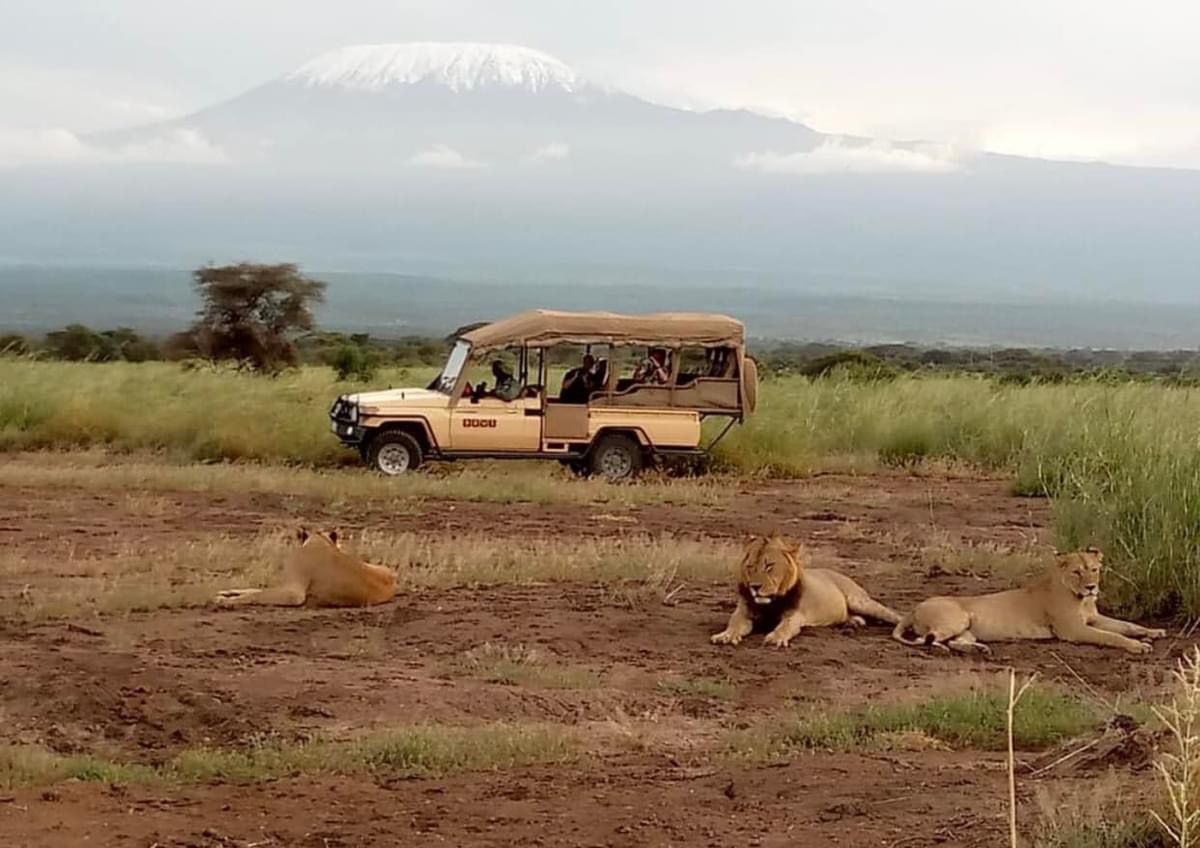 vivi la migliore avventura safari in Kenya Tsavo East, Tsavo West, Amboseli, Masai Mara, Lake Nakuru e Taita-Hills.