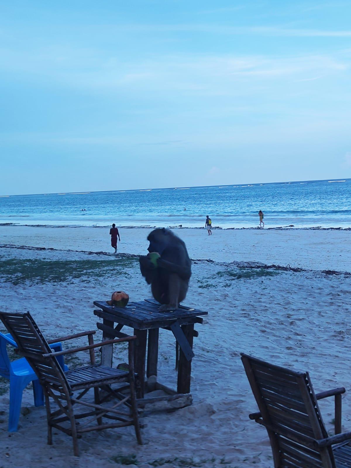 Vacanza Diani