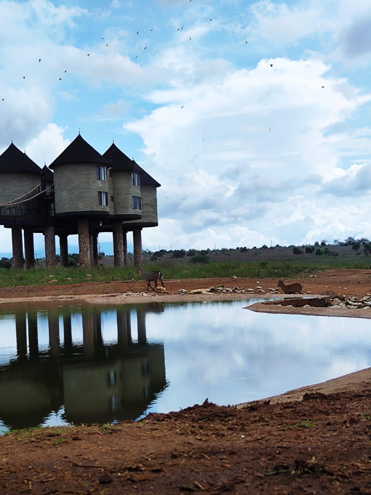 Erleben Sie das beste Safari-Abenteuer in Kenia Taita-Hills