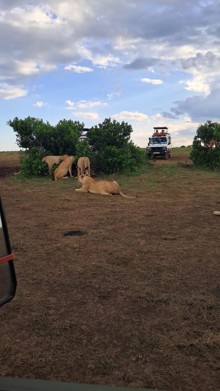 Safari-Savanne in Amboseli